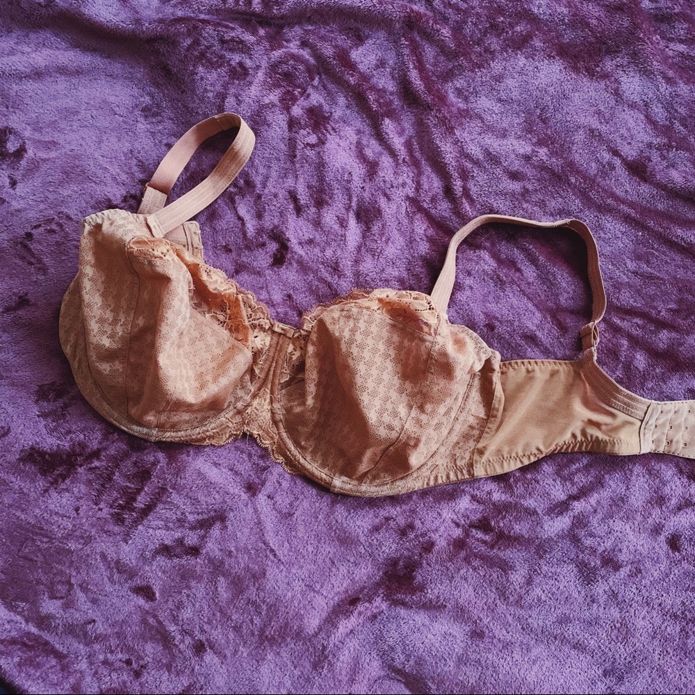 Panache | NWOT Envy bra in cinnamon